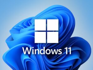 Microsoft WIN 11 Pro 64 Bit OEM Licence