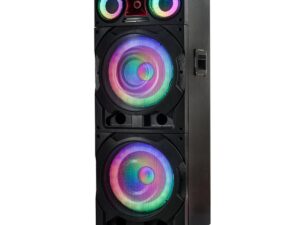 Ailiang A1202 Two 12 inch Wireless Bluetooth Karaoke Speaker System